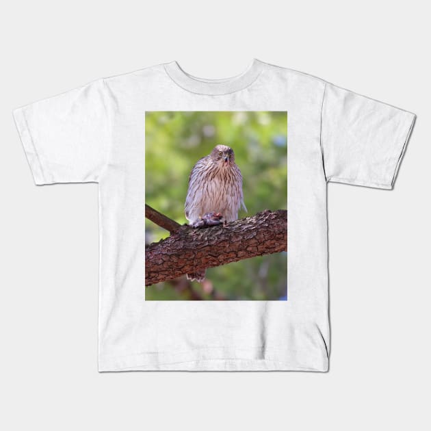 Mealtime - Coopers hawk Kids T-Shirt by Jim Cumming